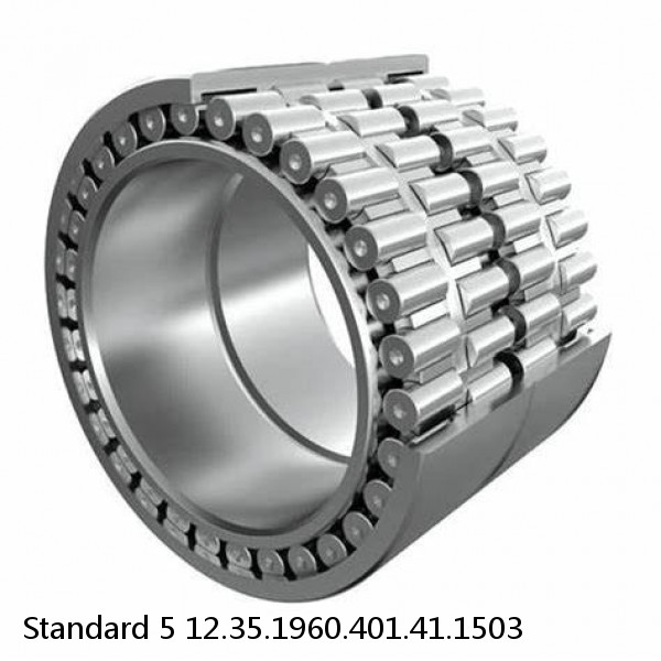 12.35.1960.401.41.1503 Standard 5 Slewing Ring Bearings