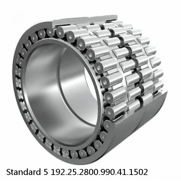 192.25.2800.990.41.1502 Standard 5 Slewing Ring Bearings