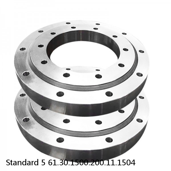 61.30.1500.200.11.1504 Standard 5 Slewing Ring Bearings #1 small image