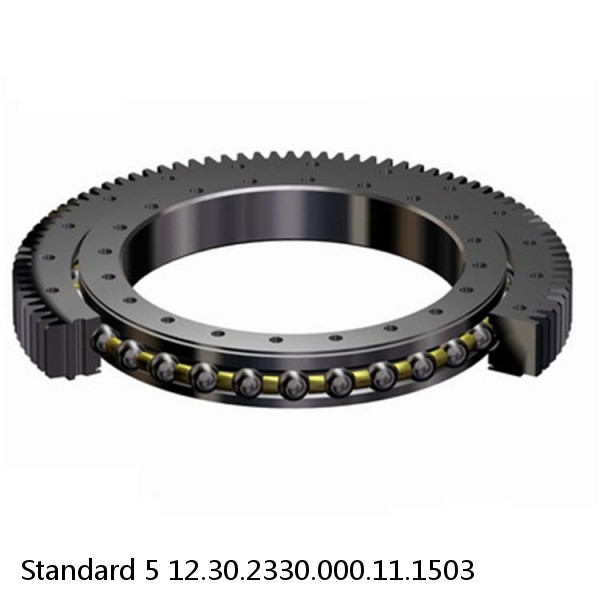 12.30.2330.000.11.1503 Standard 5 Slewing Ring Bearings