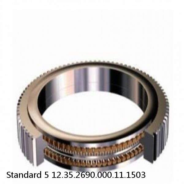 12.35.2690.000.11.1503 Standard 5 Slewing Ring Bearings #1 small image