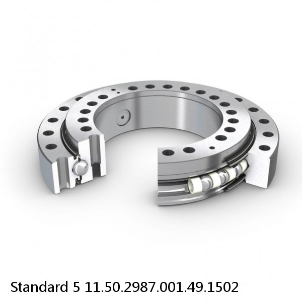 11.50.2987.001.49.1502 Standard 5 Slewing Ring Bearings #1 small image