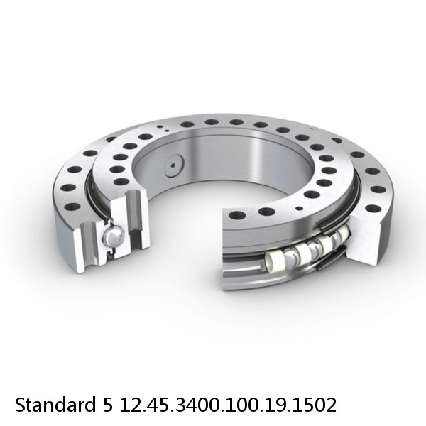 12.45.3400.100.19.1502 Standard 5 Slewing Ring Bearings #1 small image