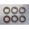 25 mm x 62 mm x 17 mm  SKF NJ 305 ECP  Cylindrical Roller Bearings #2 small image