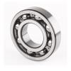 25 mm x 62 mm x 17 mm  SKF NJ 305 ECP  Cylindrical Roller Bearings #1 small image