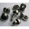 35 mm x 80 mm x 31 mm  FAG NUP2307-E-TVP2  Cylindrical Roller Bearings