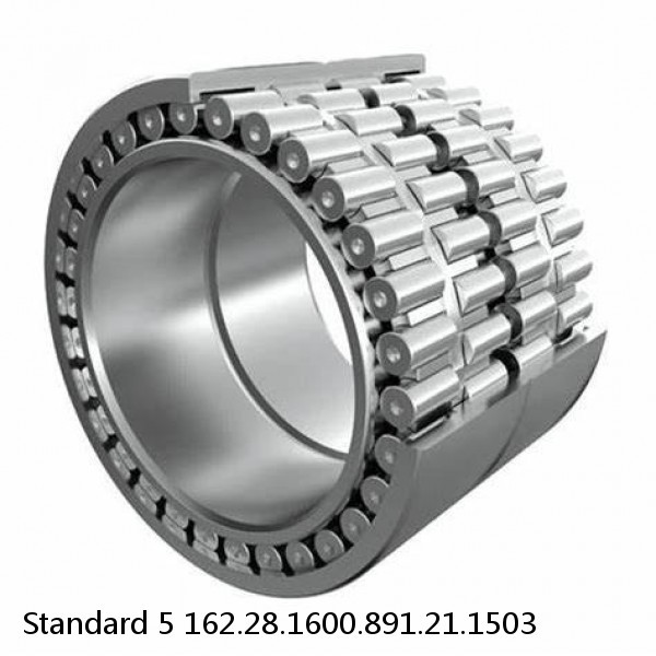 162.28.1600.891.21.1503 Standard 5 Slewing Ring Bearings #1 image