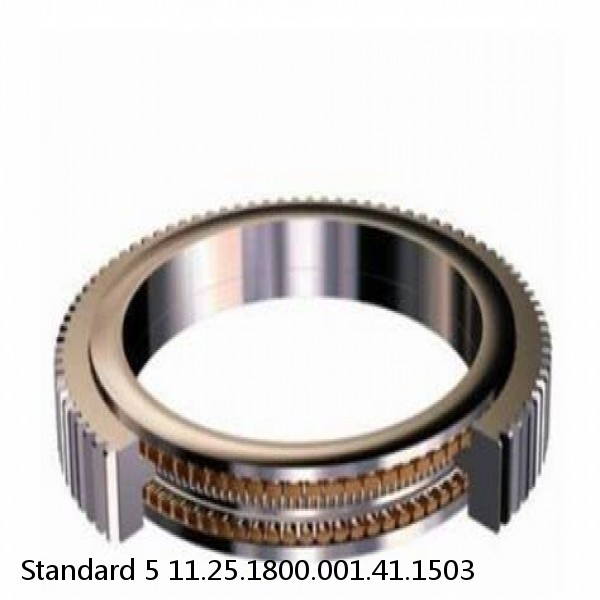 11.25.1800.001.41.1503 Standard 5 Slewing Ring Bearings #1 image