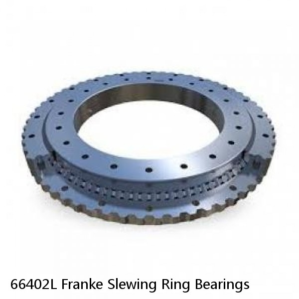 66402L Franke Slewing Ring Bearings #1 image