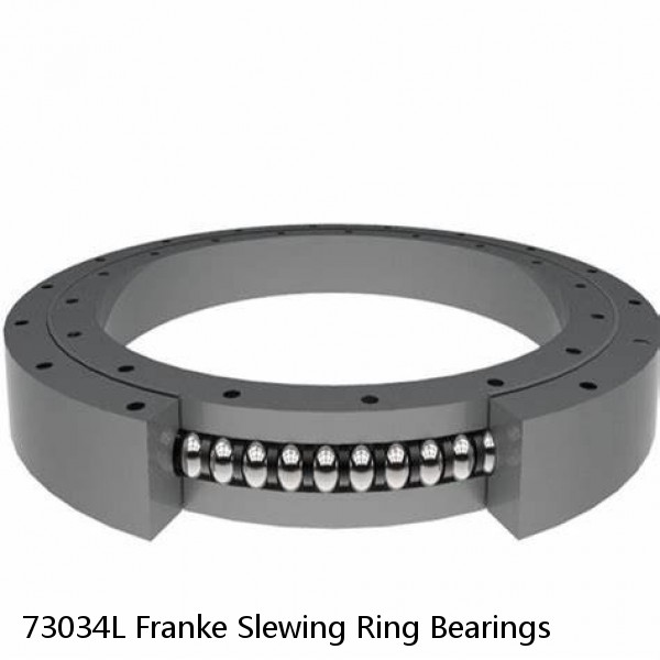 73034L Franke Slewing Ring Bearings #1 image